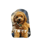ruru stamp1（個別スタンプ：6）