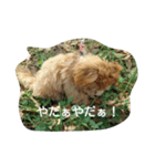 ruru stamp1（個別スタンプ：7）