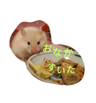 ハムモモ時々ねこ（個別スタンプ：1）