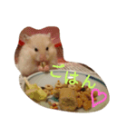ハムモモ時々ねこ（個別スタンプ：2）