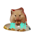 ハムモモ時々ねこ（個別スタンプ：3）