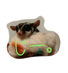 ハムモモ時々ねこ（個別スタンプ：10）