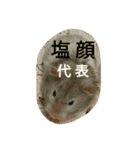 ハムモモ時々ねこ（個別スタンプ：18）