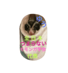 ハムモモ時々ねこ（個別スタンプ：19）
