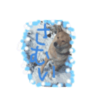 dre:am dog 3（個別スタンプ：2）