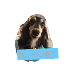 dachshund-Strawberry（個別スタンプ：3）