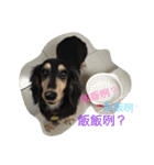 dachshund-Strawberry（個別スタンプ：11）
