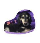 dachshund-Strawberry（個別スタンプ：14）