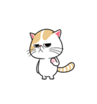 the swagger cat（個別スタンプ：1）