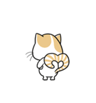 the swagger cat（個別スタンプ：4）