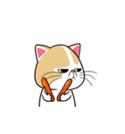 the swagger cat（個別スタンプ：5）