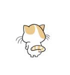 the swagger cat（個別スタンプ：7）