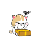 the swagger cat（個別スタンプ：13）