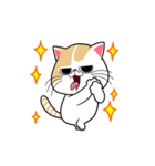 the swagger cat（個別スタンプ：19）