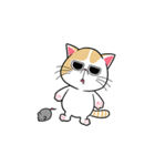 the swagger cat（個別スタンプ：20）