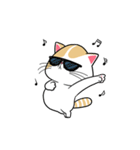 the swagger cat（個別スタンプ：23）