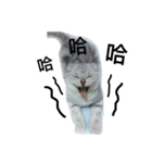 my cat star people（個別スタンプ：9）