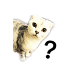 my cat star people（個別スタンプ：11）