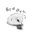 解決です！（個別スタンプ：39）