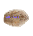 ハムと一緒！（個別スタンプ：15）