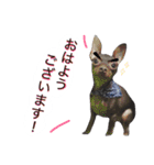 アムスター（個別スタンプ：1）