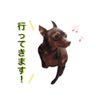 アムスター（個別スタンプ：2）