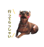 アムスター（個別スタンプ：3）