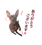 アムスター（個別スタンプ：5）