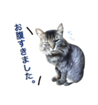 アムスター（個別スタンプ：20）