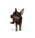 家のケルベロス（個別スタンプ：1）