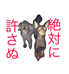 家のケルベロス（個別スタンプ：15）