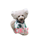 日常の挨拶♪（個別スタンプ：4）