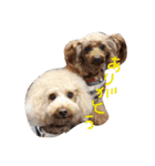 日常の挨拶♪（個別スタンプ：6）