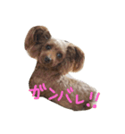 日常の挨拶♪（個別スタンプ：8）