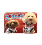 日常の挨拶♪（個別スタンプ：13）