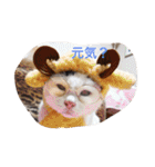 モン社長とフク専務（個別スタンプ：3）