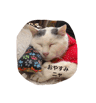 モン社長とフク専務（個別スタンプ：4）