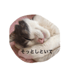 モン社長とフク専務（個別スタンプ：6）