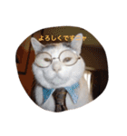 モン社長とフク専務（個別スタンプ：7）
