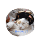 モン社長とフク専務（個別スタンプ：9）