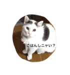 モン社長とフク専務（個別スタンプ：13）