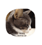 モン社長とフク専務（個別スタンプ：15）