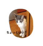 モン社長とフク専務（個別スタンプ：20）
