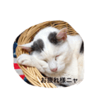 モン社長とフク専務（個別スタンプ：21）