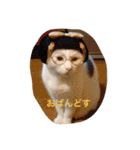 モン社長とフク専務（個別スタンプ：23）