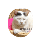 モン社長とフク専務（個別スタンプ：24）