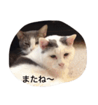 モン社長とフク専務（個別スタンプ：25）