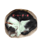 モン社長とフク専務（個別スタンプ：29）