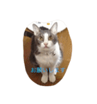 モン社長とフク専務（個別スタンプ：32）