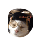 モン社長とフク専務（個別スタンプ：38）